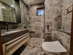 Parksuites (D10), Apartment #418880911